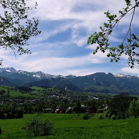 Quality House - Cisza Nad Dolina Villa Zakopane Eksteriør bilde