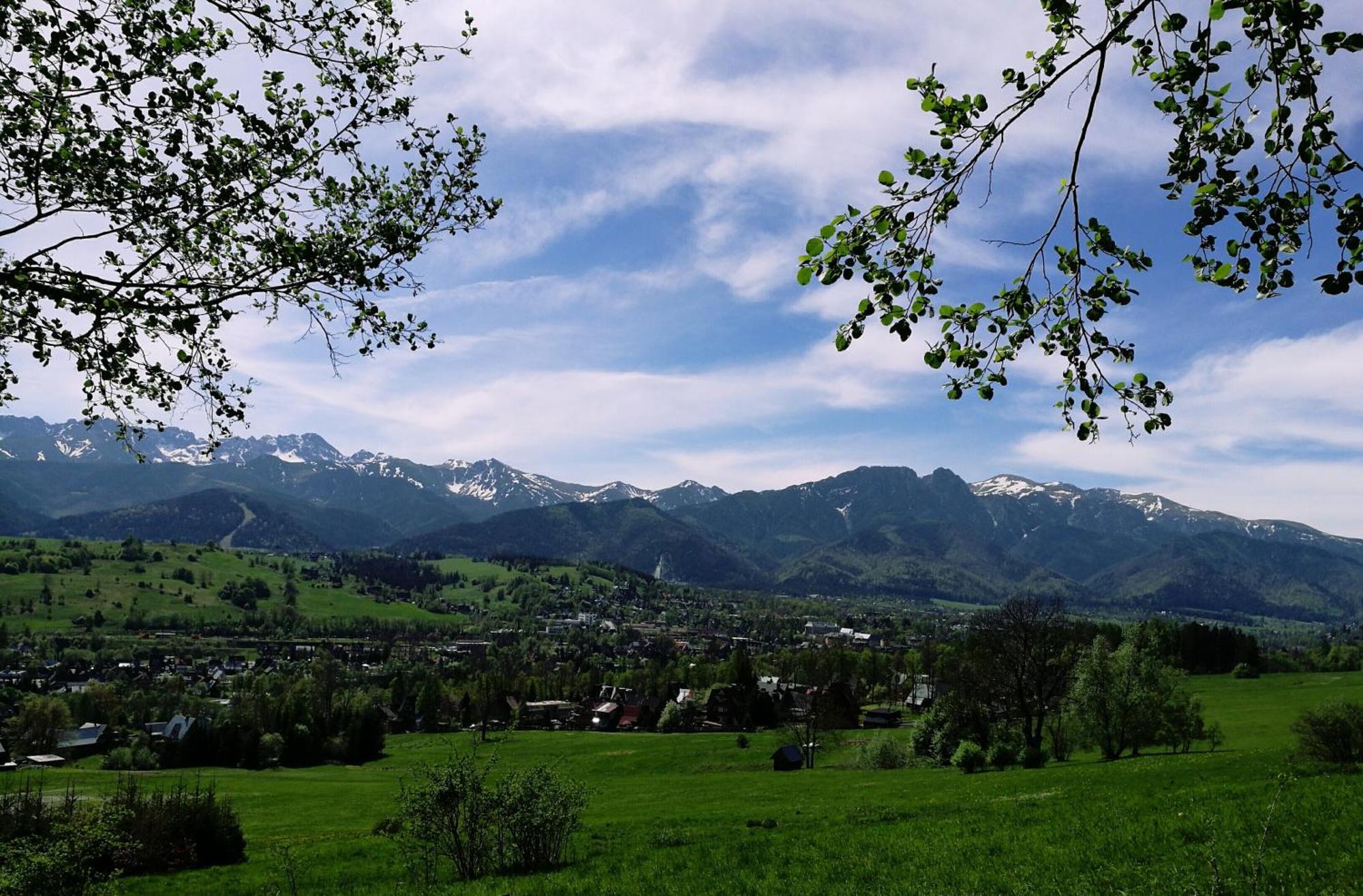 Quality House - Cisza Nad Dolina Villa Zakopane Eksteriør bilde